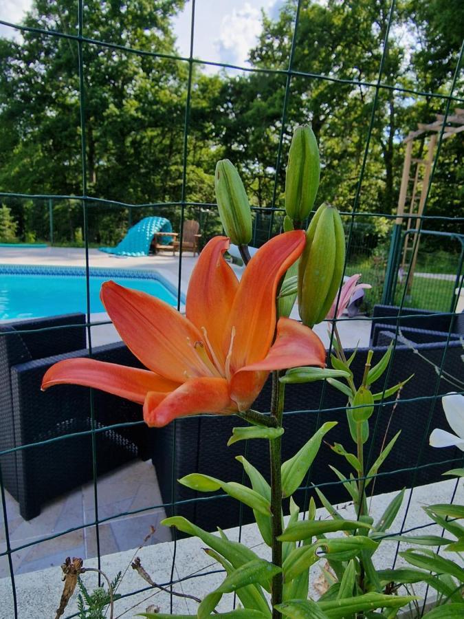 Apartment La Forestine Bergerac