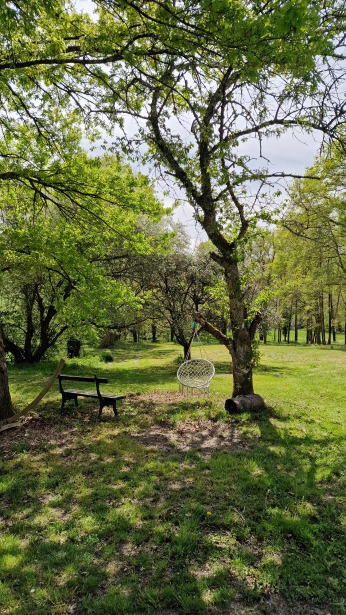 Apartamento La Forestine
